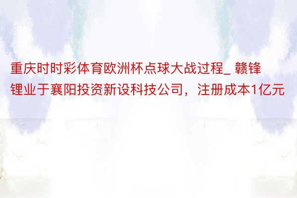 重庆时时彩体育欧洲杯点球大战过程_ 赣锋锂业于襄阳投资新设科技公司，注册成本1亿元