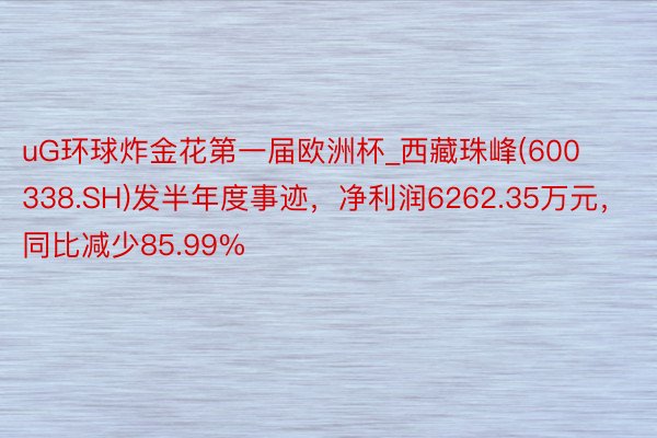 uG环球炸金花第一届欧洲杯_西藏珠峰(600338.SH)发半年度事迹，净利润6262.35万元，同比减少85.99%