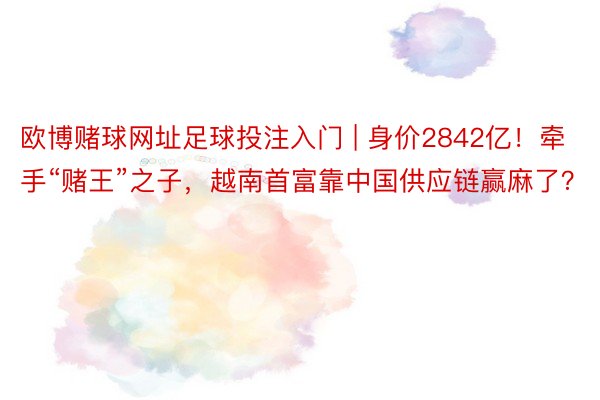 欧博赌球网址足球投注入门 | 身价2842亿！牵手“赌王”之子，越南首富靠中国供应链赢麻了？